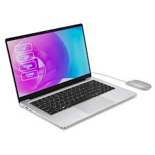 RNRUO Windows 11 Laptop, 14-Inch 1366*768 TN Display, Intel N4000 Dual-Core Processor,2.6Ghz,8Gb RAM, 256GB SSD ROM, 4800Mah Long Battery Life, Suitable for Student Study, Business Office and Other Scenarios